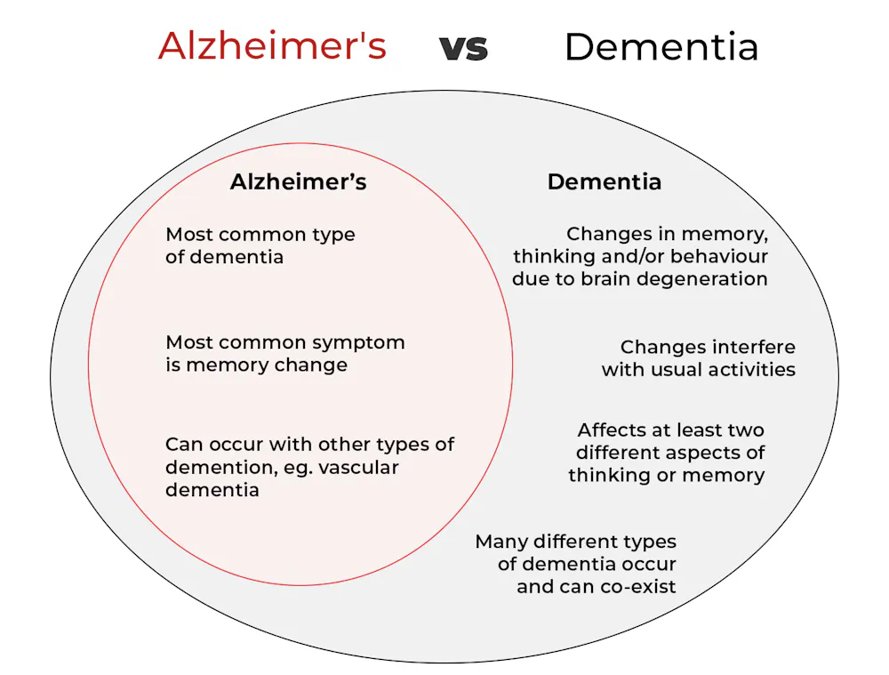 What s The Difference Between Alzheimer s And Dementia What s the difference between alzheimer s and dementia