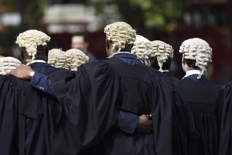 A group of bewigged barristers seen from behind.