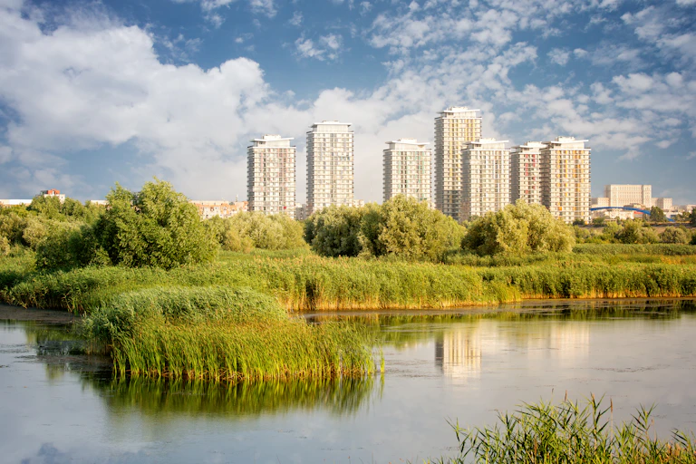 An urban skyline with a wetland in the foreground.
