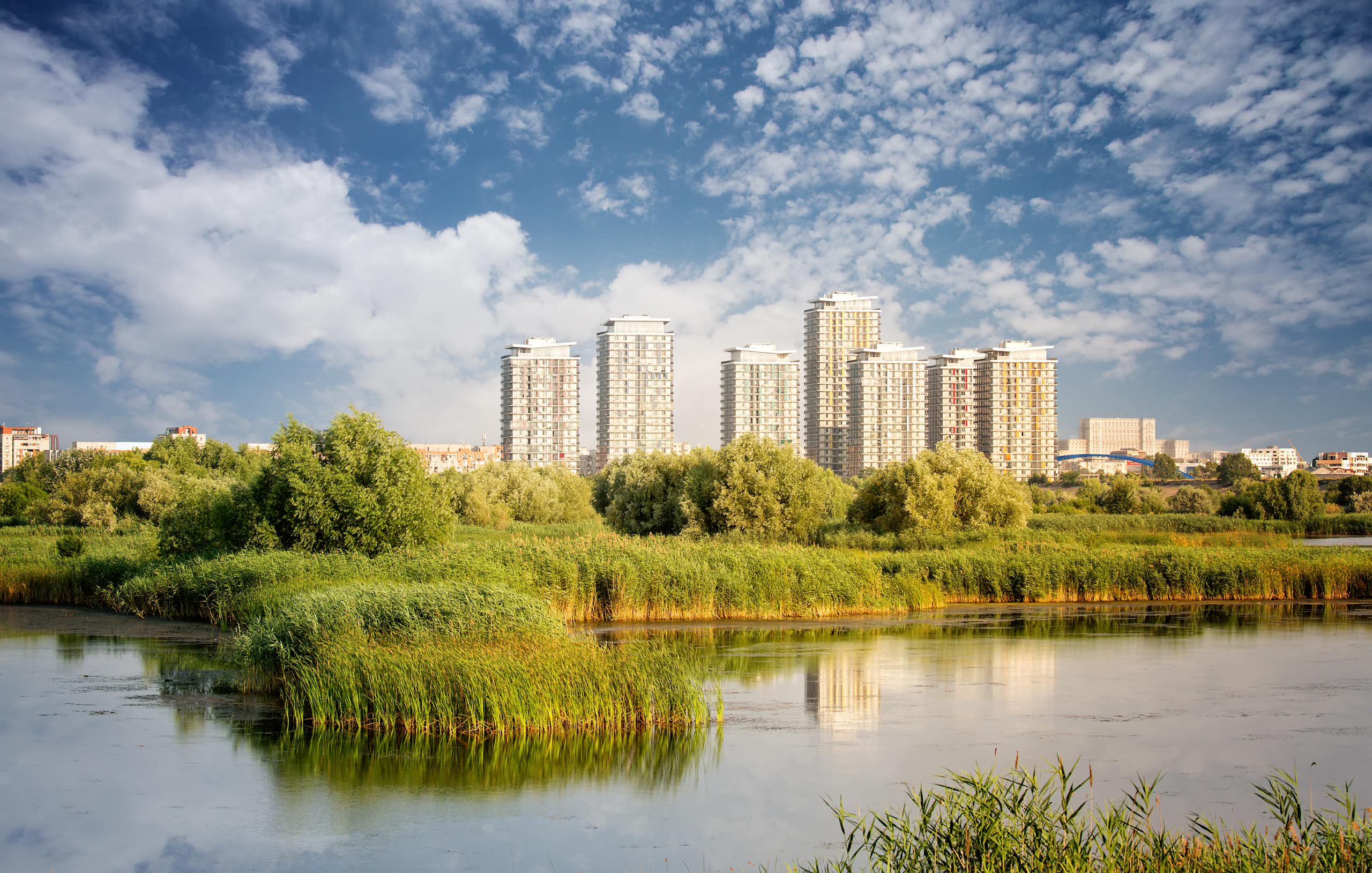 An urban skyline with a wetland in the foreground.