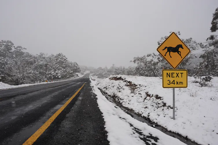 Horses next 34km warns a road sign on the Snowy Mountains Highway, Kosciuszko National Park. The sign is surrounded by snow.