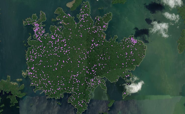 A satellite map of green land with purple dots throughout it.
