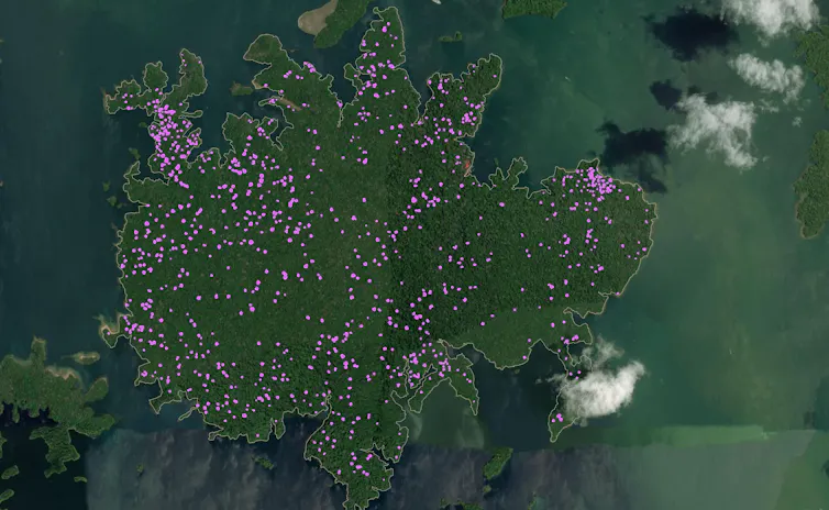 A satellite map of green land with purple dots throughout it.