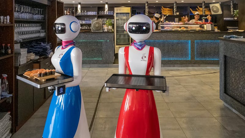 ¿Eliminarán la IA y la robótica el empleo en el sector turístico? ¿Eliminarán la IA y la robótica el empleo en el sector turístico?