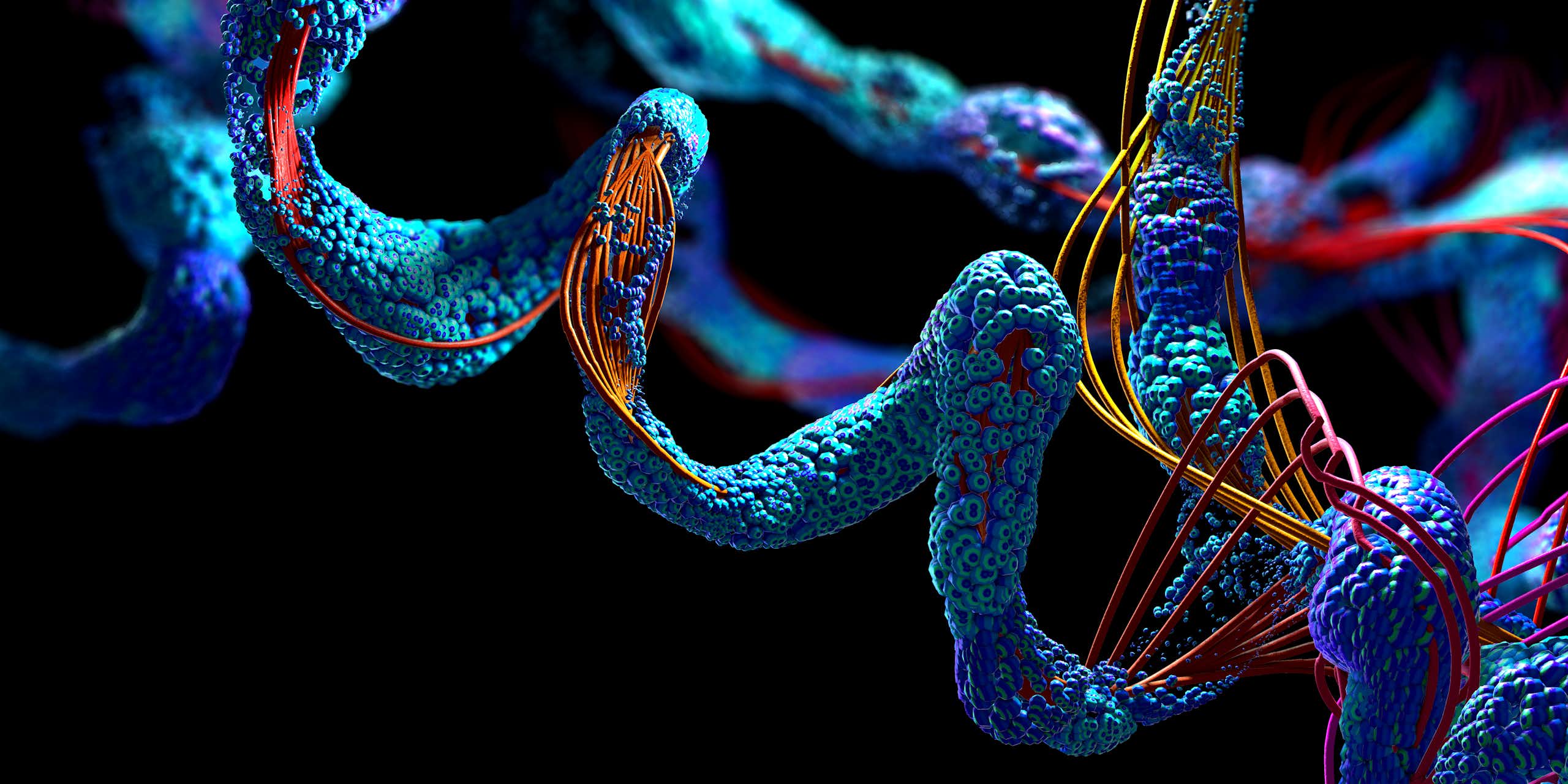 Protein structure in 3D