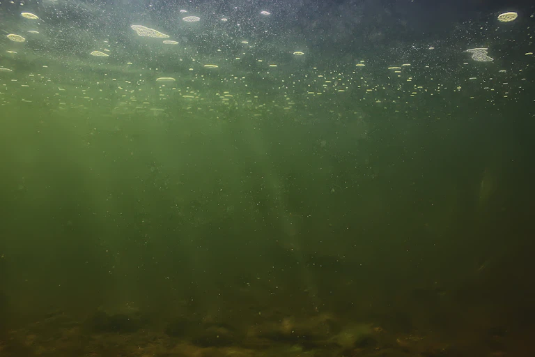 underwater with filtered green light
