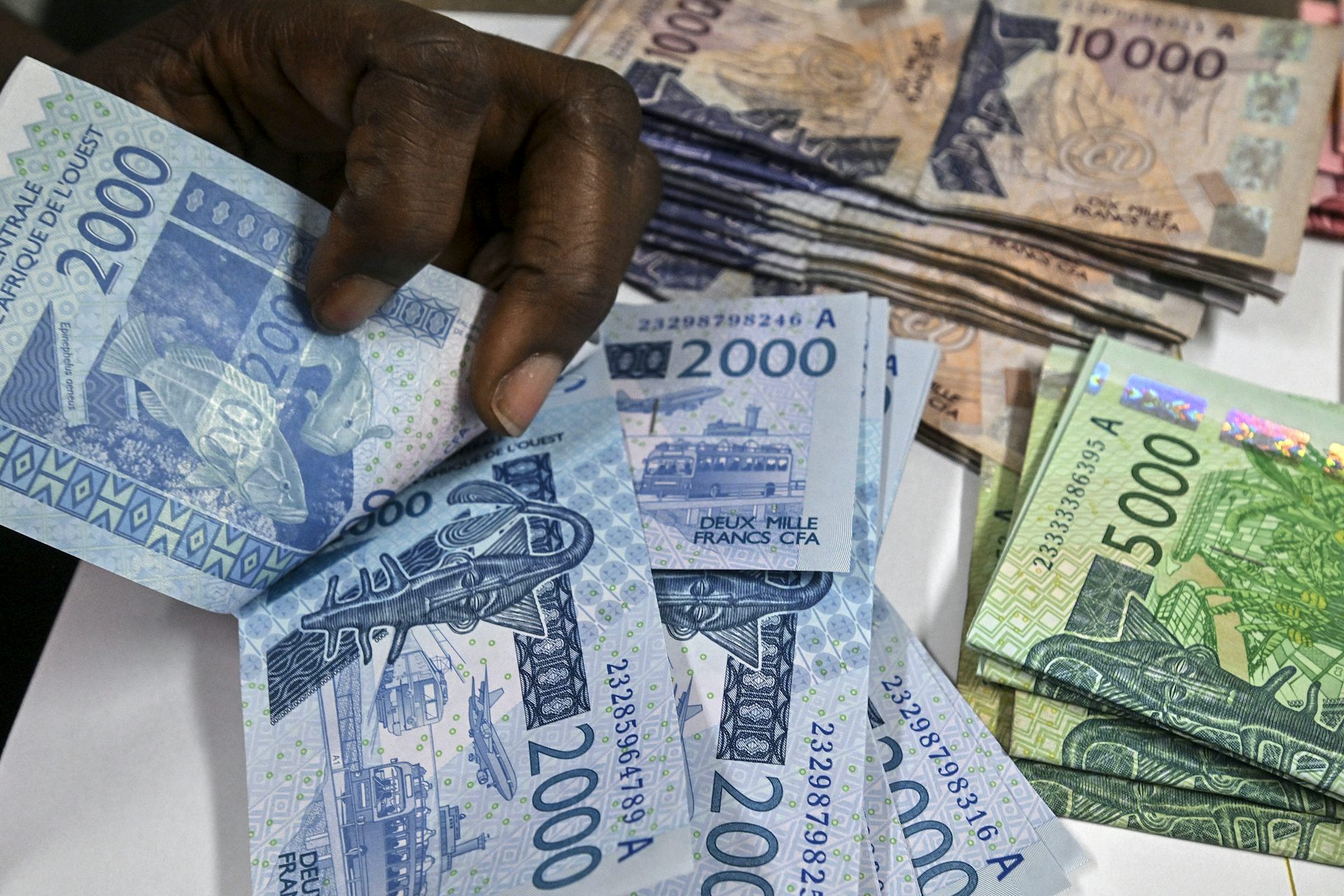 Une photographie prise à Abidjan le 27 mars 2024 montre des billets de banque en francs CFA vérifiés par un homme.