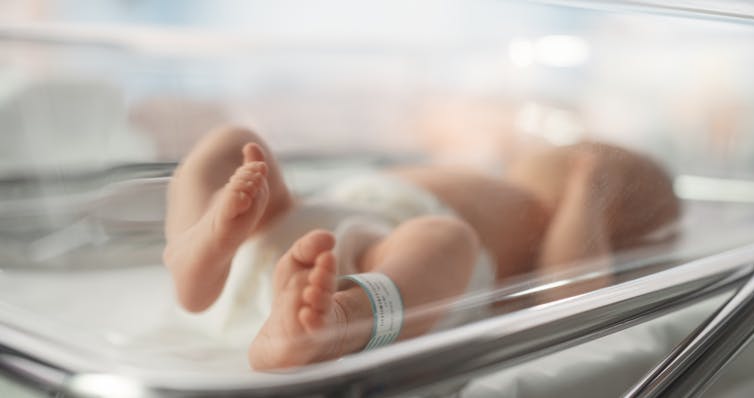 A newborn baby in a clear crib in hospital.