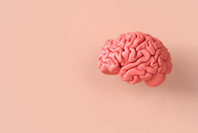 A human brain on a flesh coloured background