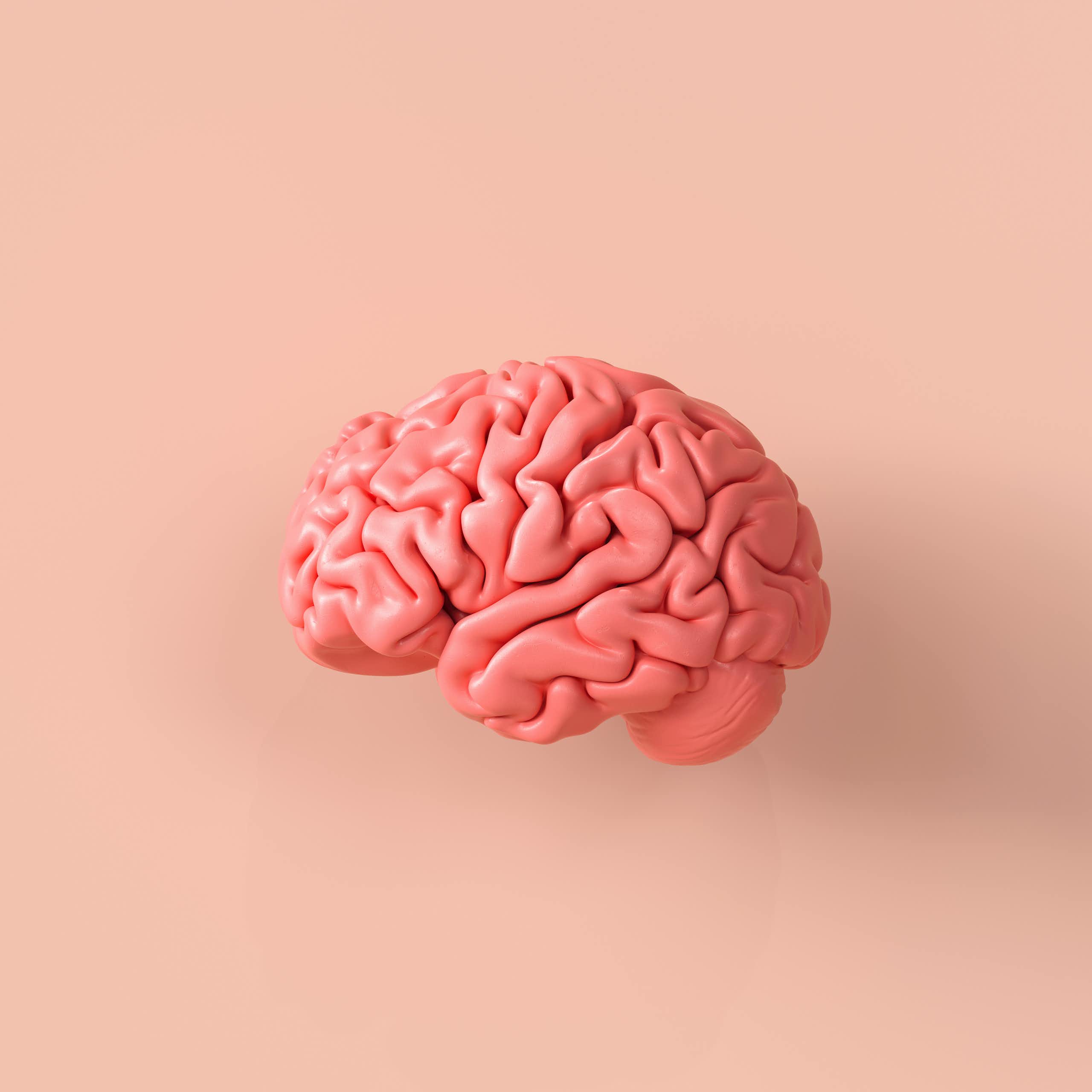 A human brain on a flesh coloured background