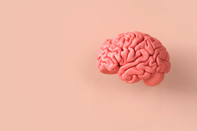 A human brain on a flesh coloured background