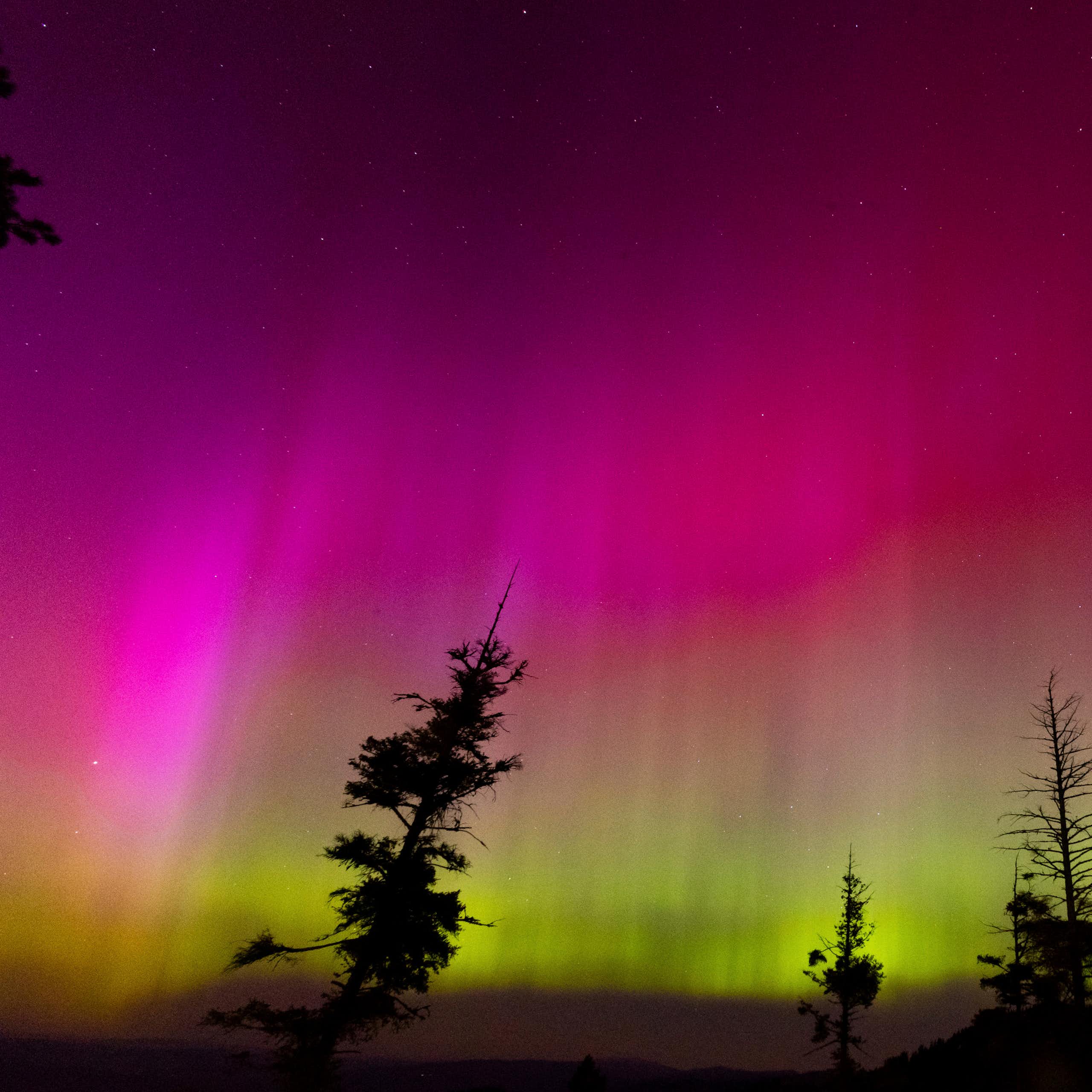 The night sky with magenta and red shades up high and bright green lower at the horizon.