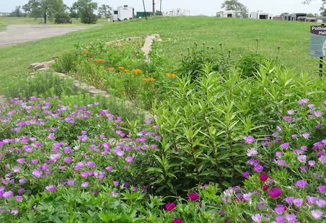 research articles on honey bee Flowering plants grouped together in a garden