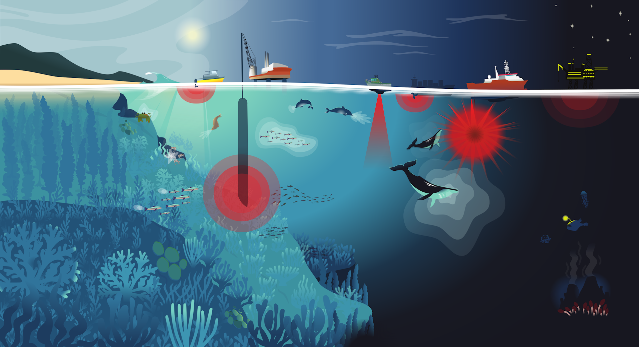 Les dangers de la pollution sonore sous-marine : l’art peut-il aider la science ?