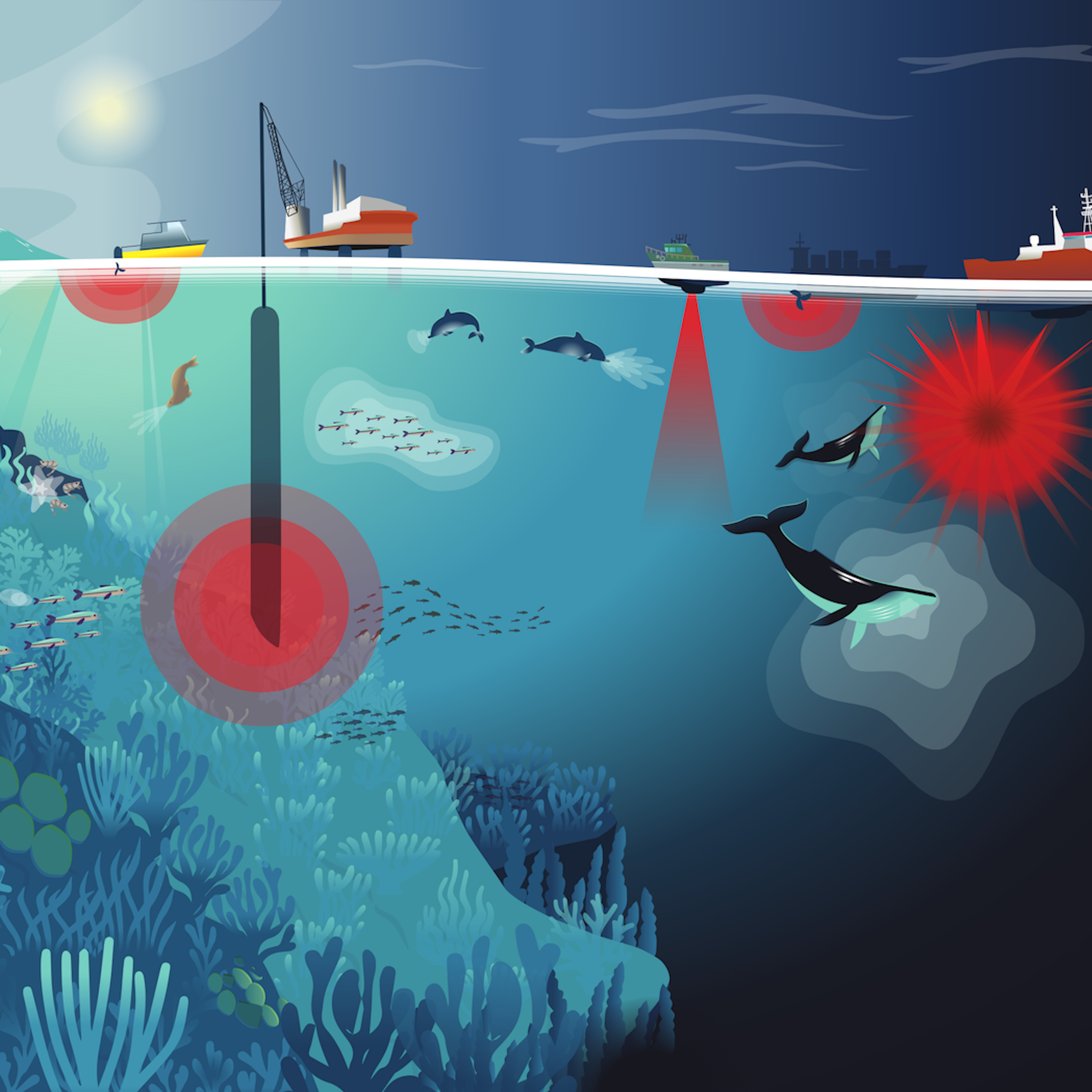 Les dangers de la pollution sonore sous-marine : l’art peut-il aider la science ?