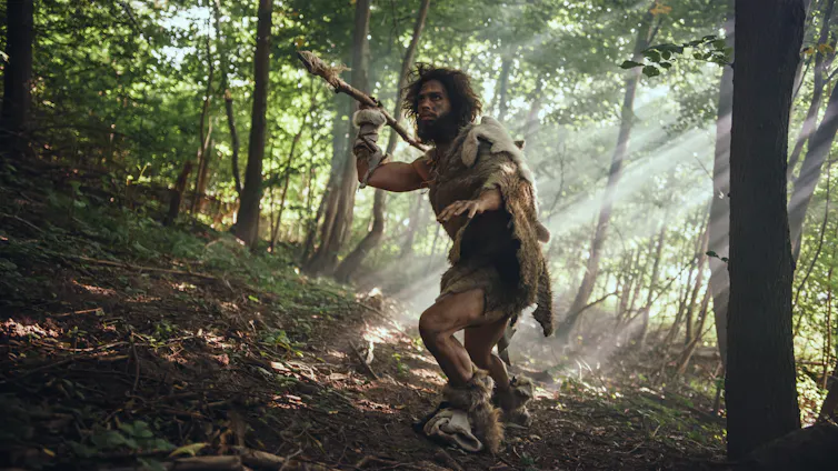 Neanderthal representation