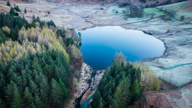 A small round lake of blue surrounded by grey rocks and a patch of fir trees.