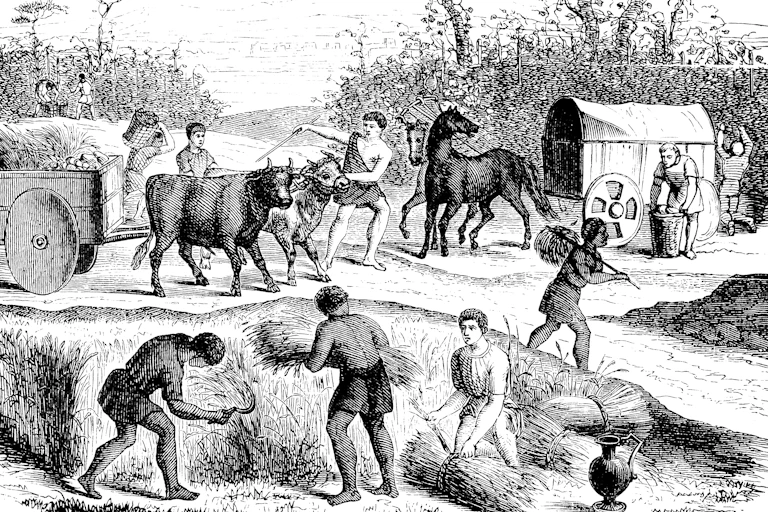 Gravura de pessoas em trajes romanos antigos colhendo grãos e usando bois e cavalos