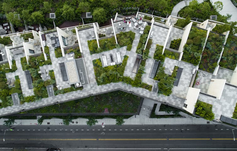 Aerial view of rooftop vegetation