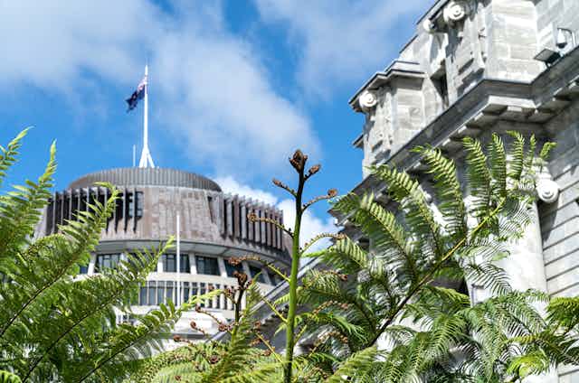 Parliament buildings with fern fronds in foreground