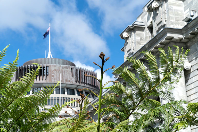 Parliament buildings with fern fronds in foreground