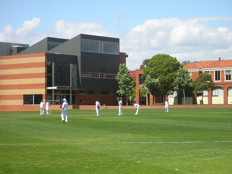 Cricketers on a green field.