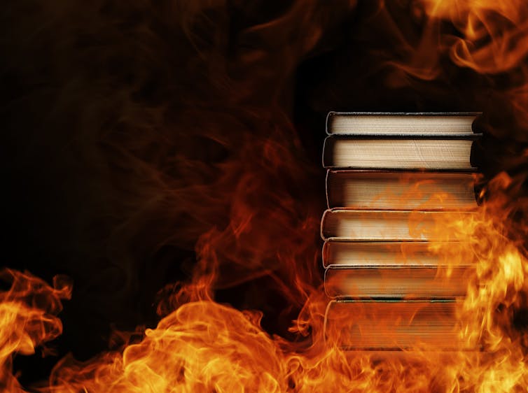 Cumberland Council’s book ban has been overturned, but what is really happening in Australian libraries?