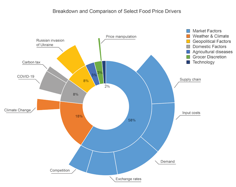 A starburst diagram showing that 58 per cent of the drivers identified in food price reports are so-called market factors, while price manipulation and climate change are rarely invoked, and other issues like biodiversity loss are absent.