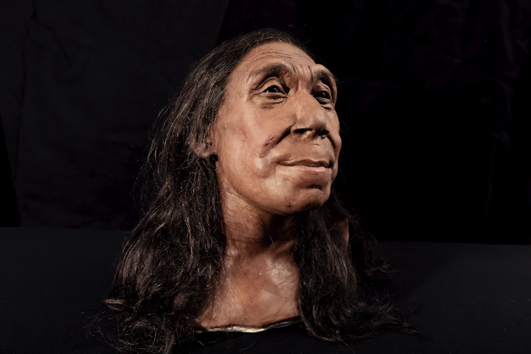 A cabeça recriada de Shanidar Z.