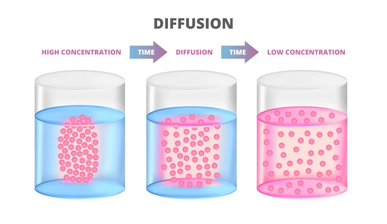 A diagram showing diffusion, with molecules clustered in one area in a fluid, that then spread out to distribute evenly.