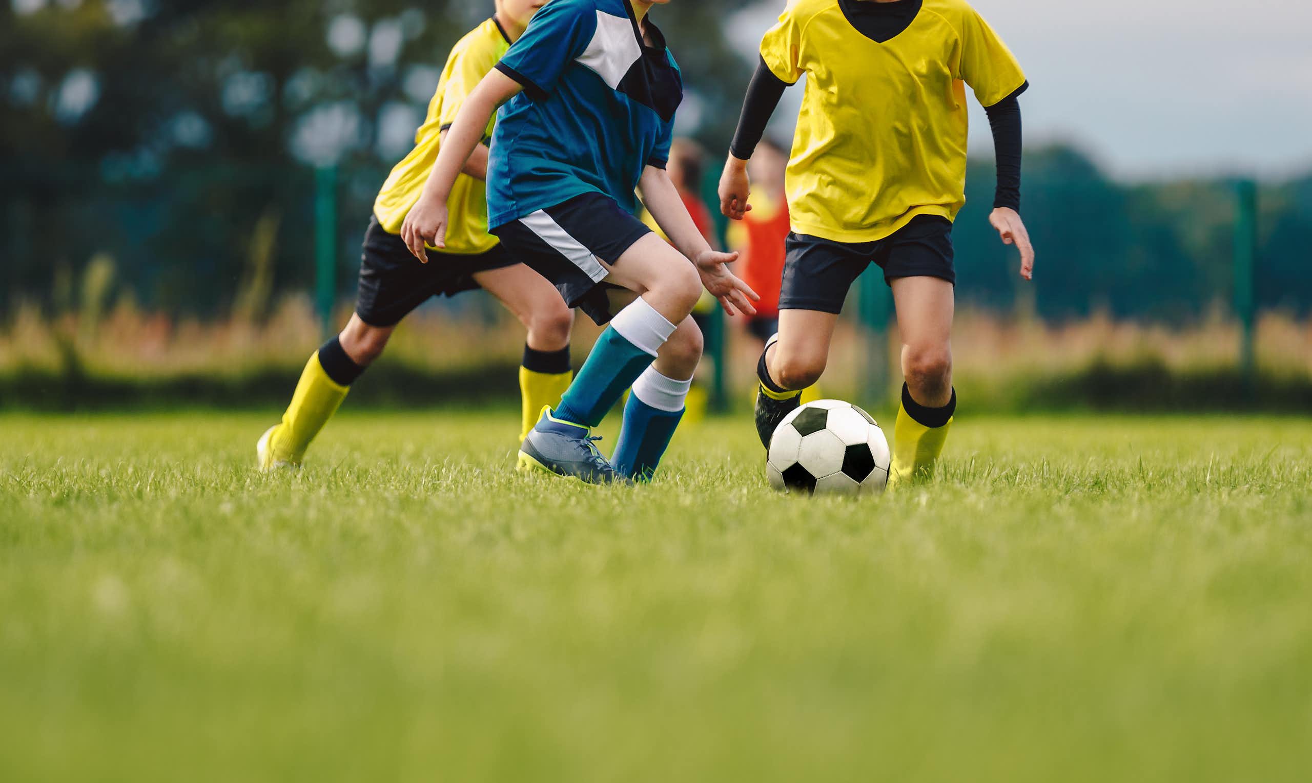 Children, seen from the neck down, kick a soccer ball on a grassy field while wearing soccer uniforms
