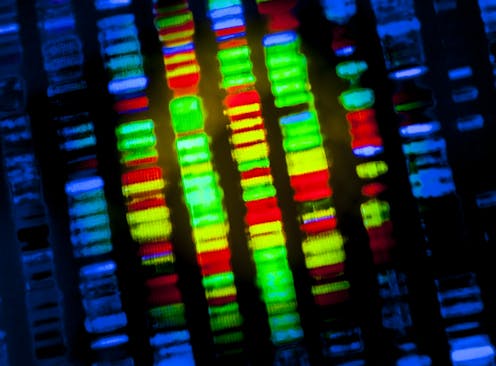 Risk of ‘genetic discrimination’ by insurance companies is ruining people’s trust in vital medical science