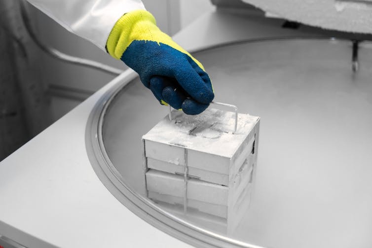 A hand in a thick working glove lowers a canister into liquid nitrogen.