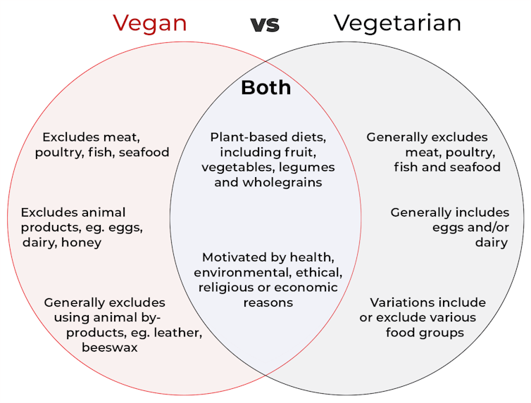 vegetarian and non vegetarian essay