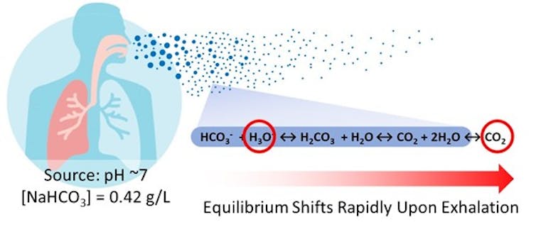 The function of carbon dioxide in airborne illness transmission: a hidden key to more secure indoor areas 1 Droplets suspended in Celebs technology, used to study airborne microbe behavior. Photo credit: Allen Haddrell