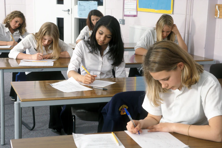 Girls in school lesson