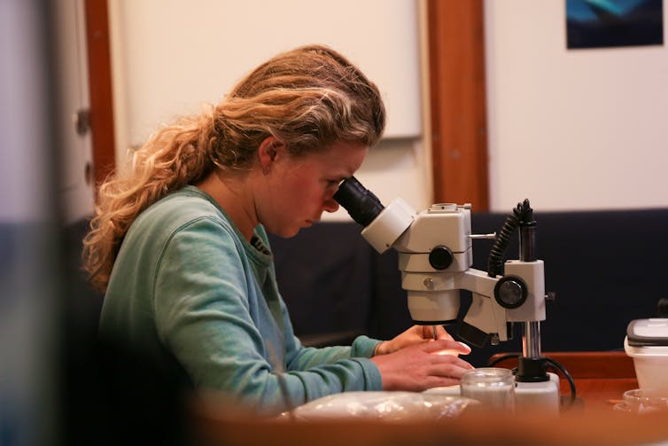 woman with long hair sat at table looking down a microscope