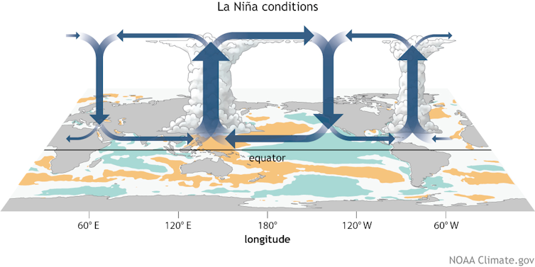 A map showing loops of rising air over the Atlantic and Indonesia.