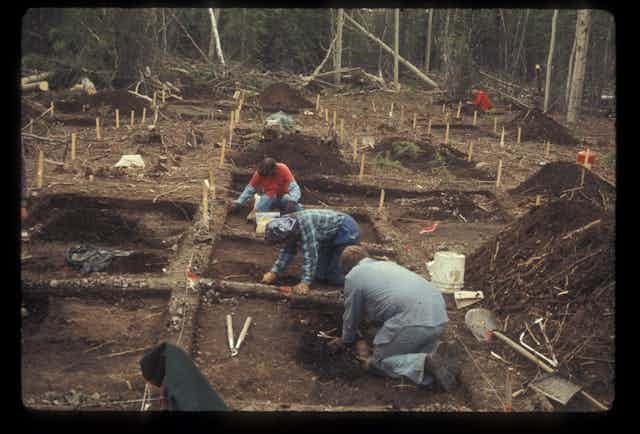 Five archaeologists crouch while excavating an archaeological site. A dense forest is visible in the distance