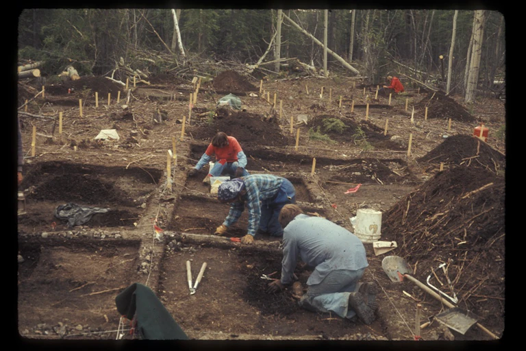Five archaeologists crouch while excavating an archaeological site. A dense forest is visible in the distance