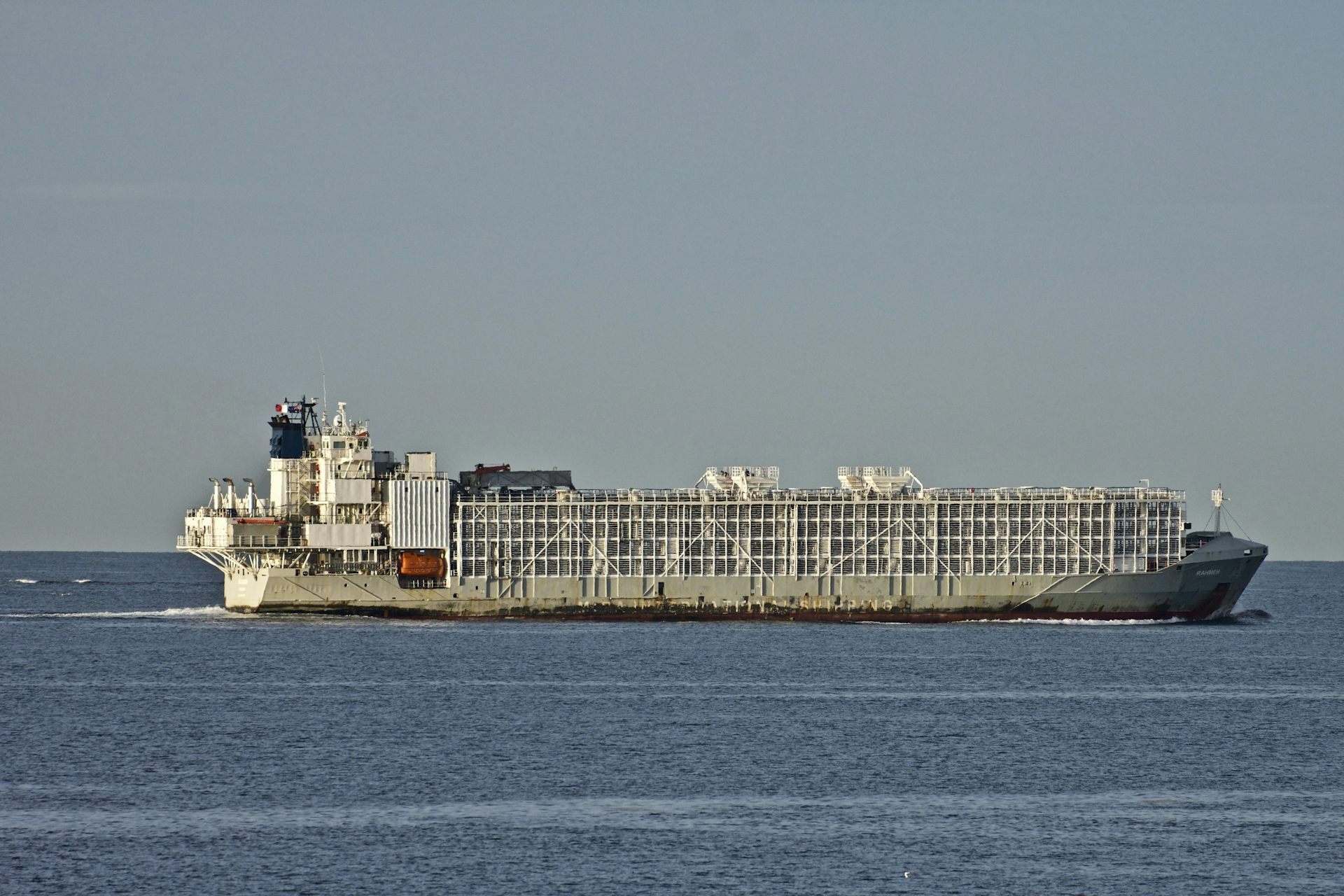 Large livestock vessel seen sailing at sea