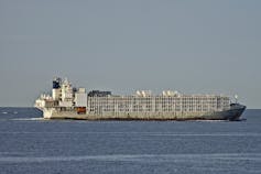 Large livestock vessel seen sailing at sea
