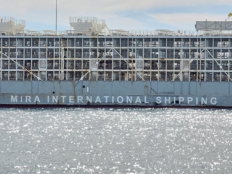 live animal cargo ship loading at Fremantle