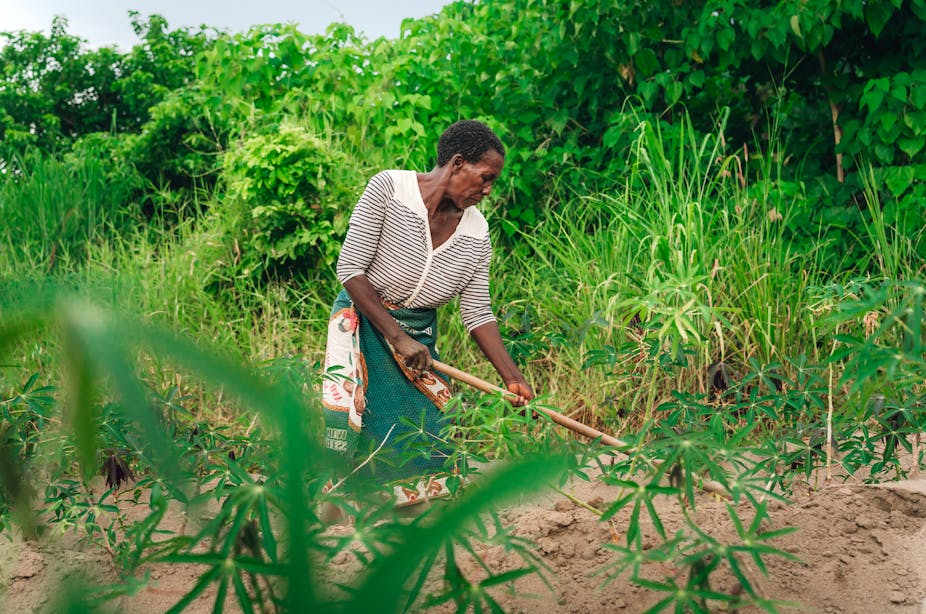 A woman uses a hoe to clear land amid a lush green landscape
