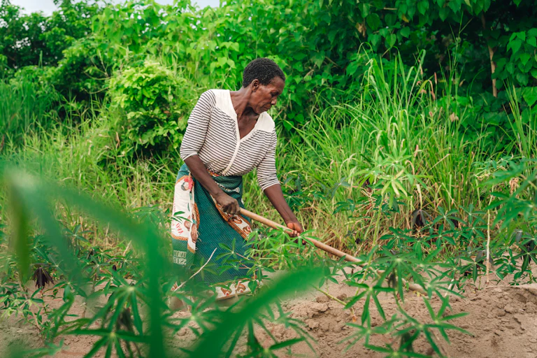 A woman uses a hoe to clear land amid a lush green landscape