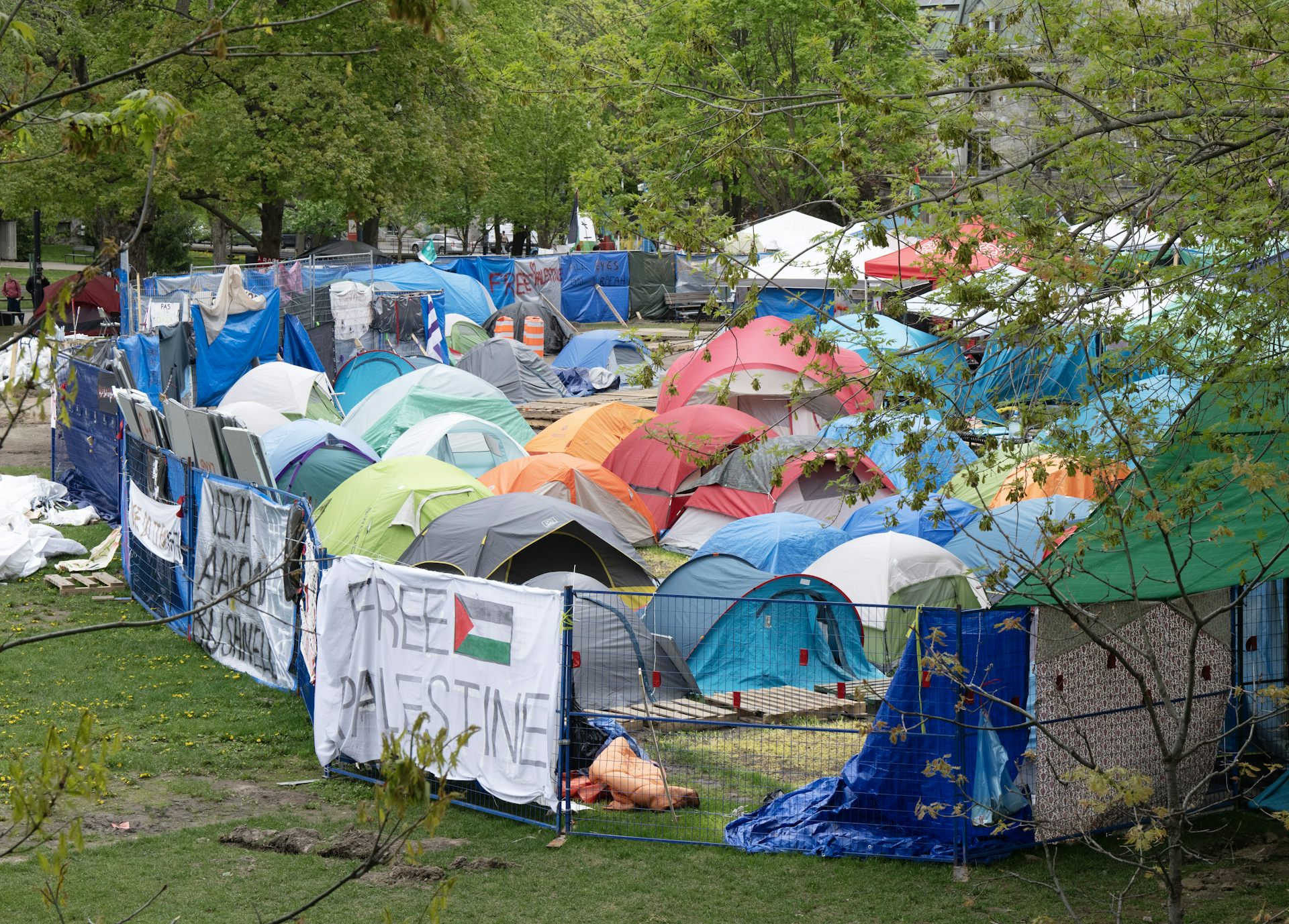 A tent encampment behind a sign reading: Free Palestine