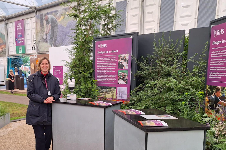 Woman at chelsea flower show stand surrounded by green hedge plants