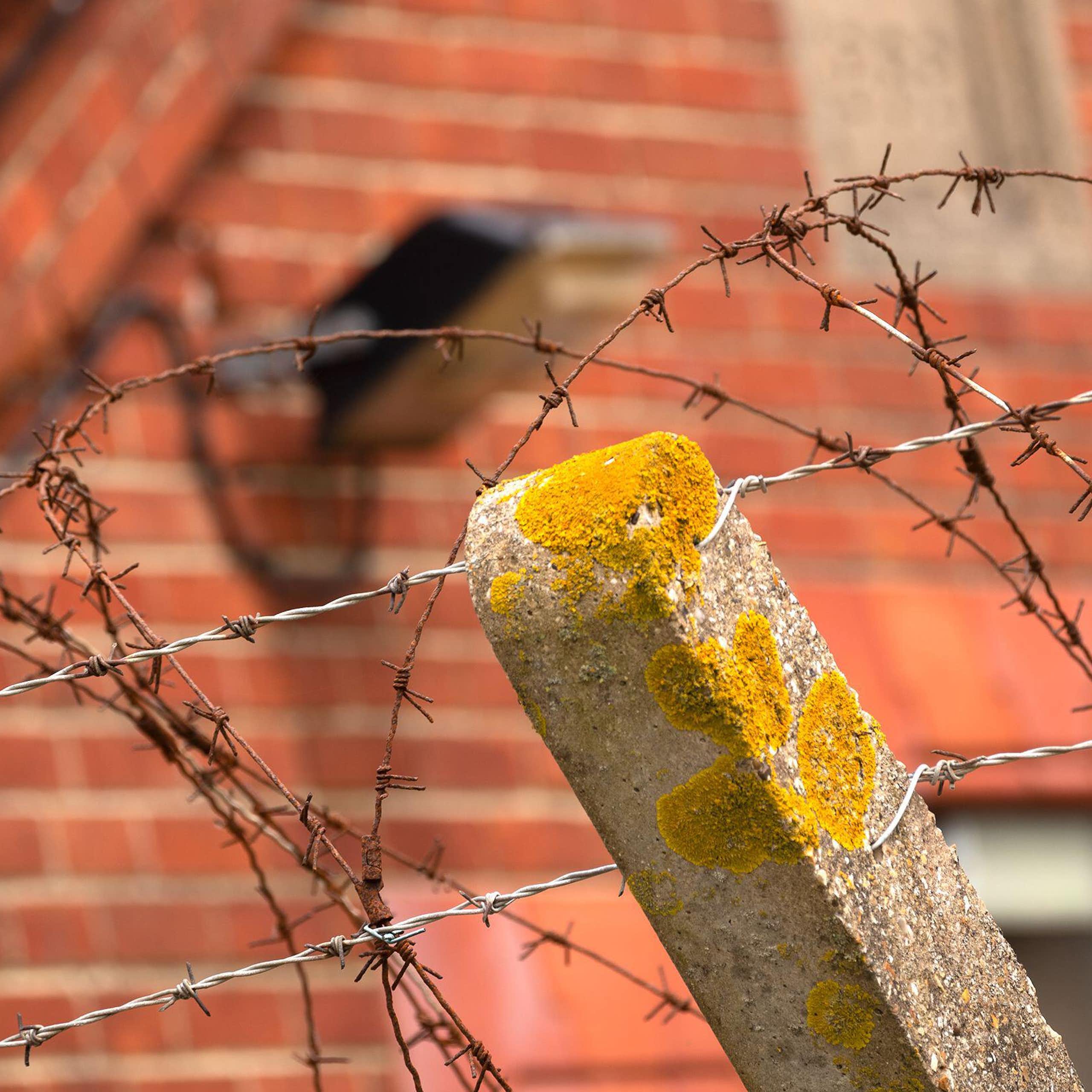Close up of barbed wire fencing in front of a red brick barracks building