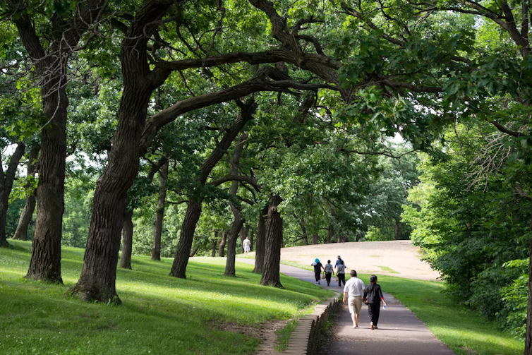 Seven people walk along a paved trail under large leafy trees