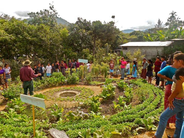 Students gather round a plot to listen to a farmer.
